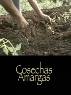 《苦涩的收获》：家族秘辛下的暗流涌动，一次触及灵魂的沉重审视