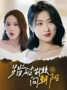 《踏破荆棘向朝阳》：一部关于成长、救赎与希望的史诗，触及灵魂深处的治愈之旅