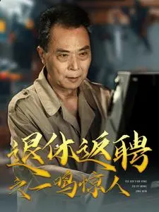 退休返聘之一鸣惊人 海报